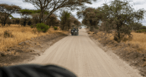 Take a safari in Kenya