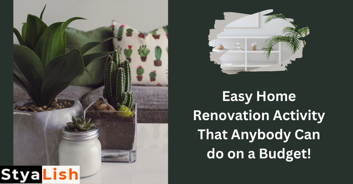 Easy Home Renovation Activity That Anybody Can do on a Budget
