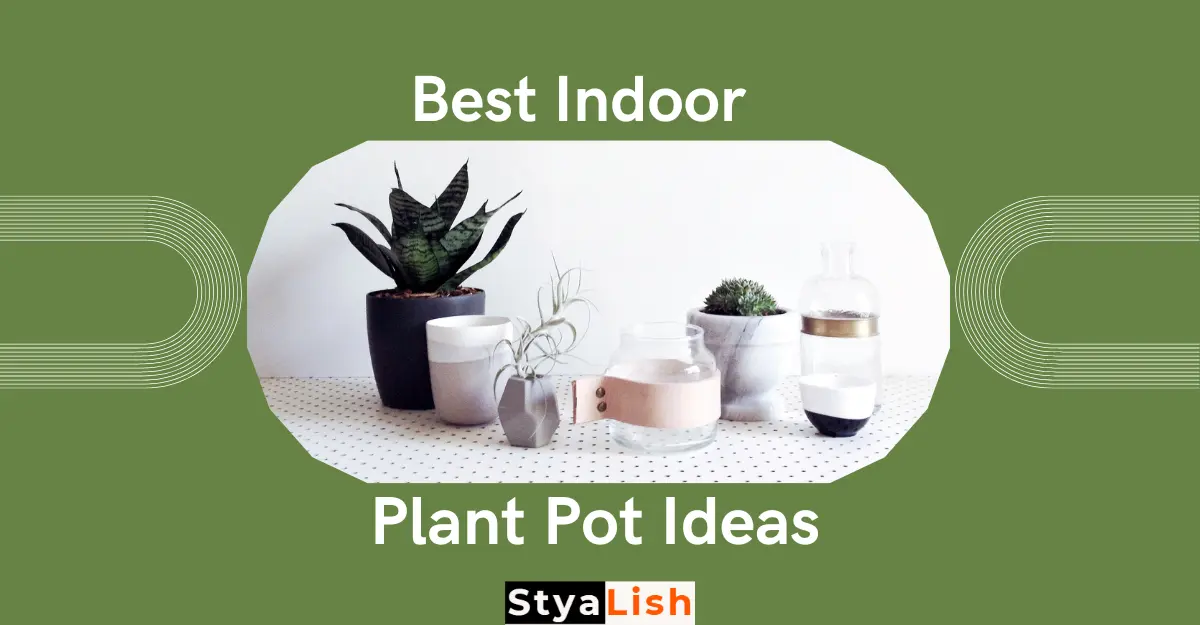 Best Indoor Plant Pot Ideas