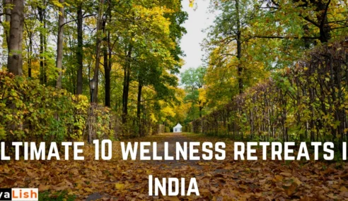 Ultimate 10 wellness retreats in India