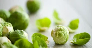 Sprouts of Brussels