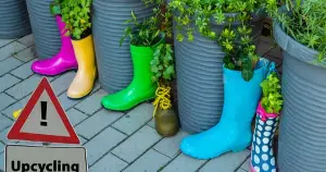 plants in old boots