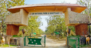 Gir National Park, Gujarat
