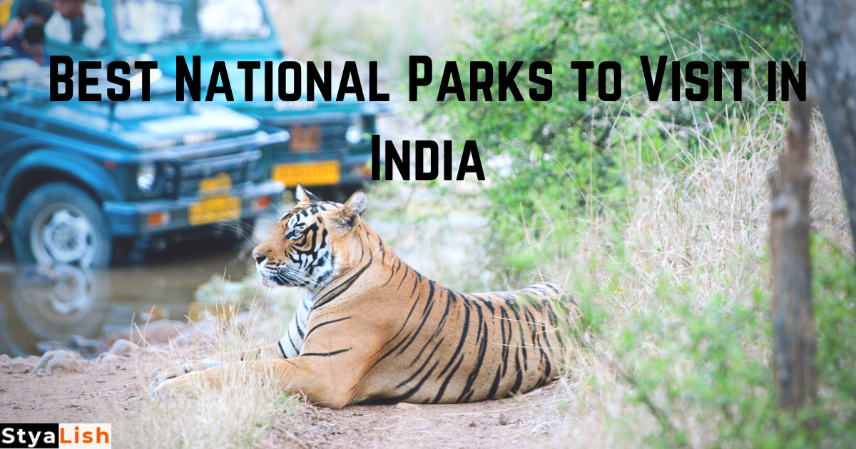 Best National Parks to Visit in India
