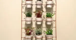 ertically arranged plant pots