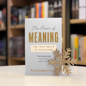 The power of Meaning