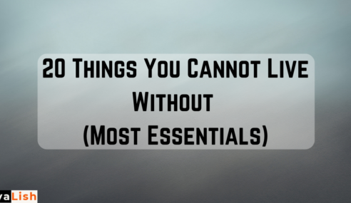 20 Things You Cannot Live Without (Most Essentials)