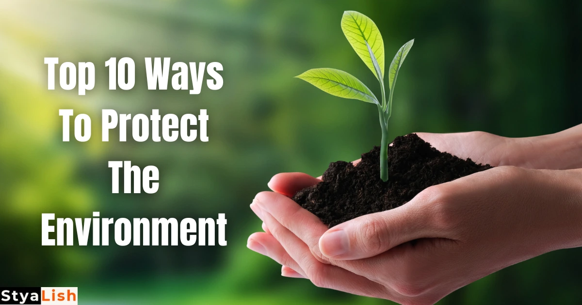 Top 10 Ways to Protect the Environment